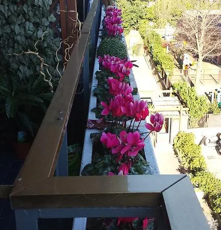 住宿加早餐酒店 Fiore Vaticano 5*
