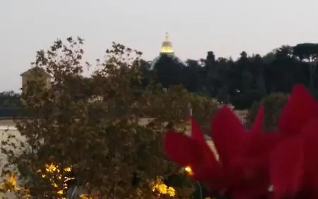 Fiore Vaticano