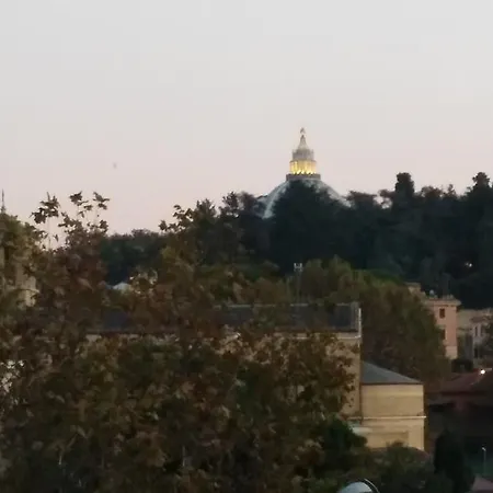Fiore Vaticano Róma